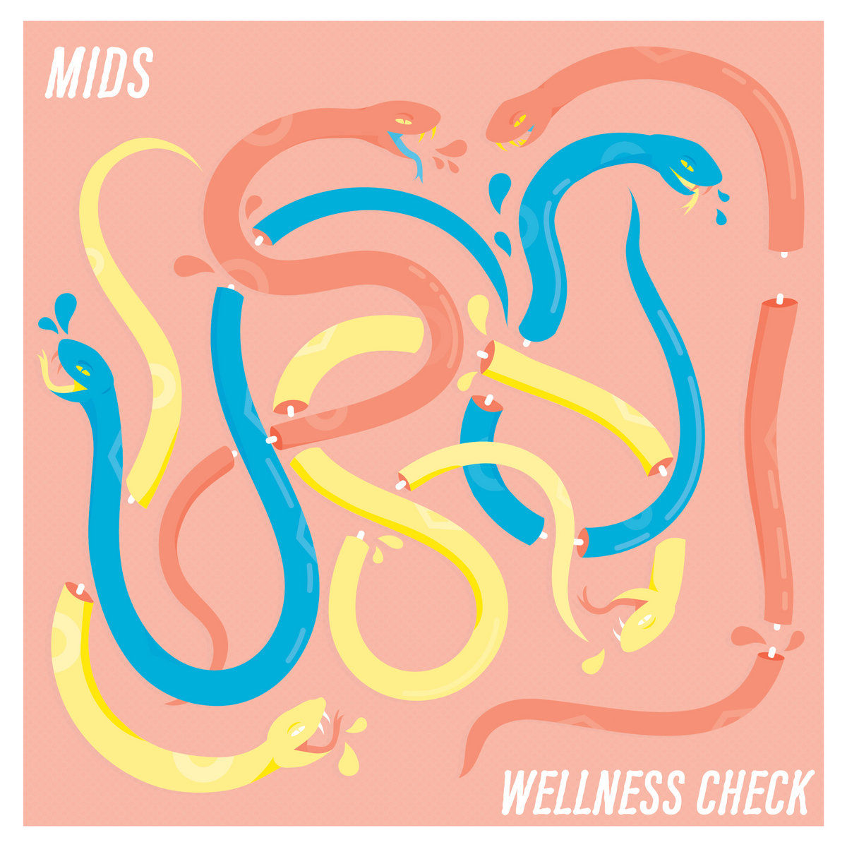 Mids Wellness Check.jpg